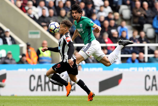 洲球隊對坦 洲球隊對坦